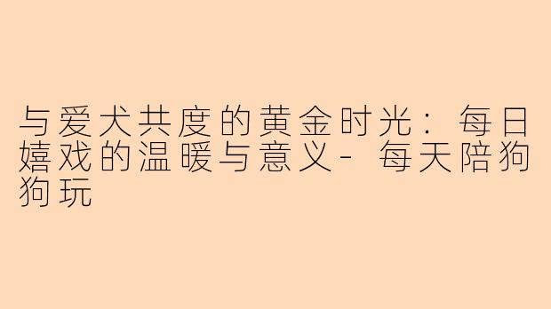 与爱犬共度的黄金时光：每日嬉戏的温暖与意义-每天陪狗狗玩
