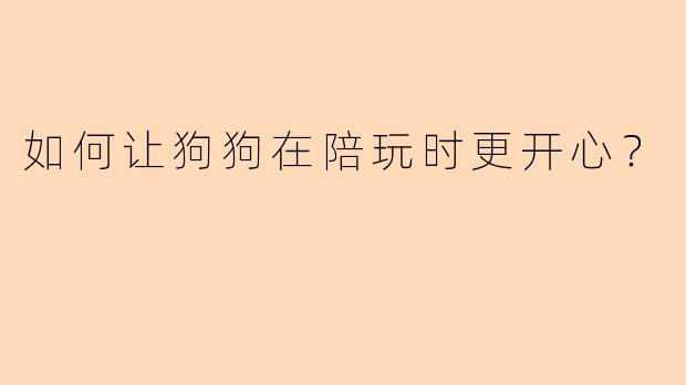 如何让狗狗在陪玩时更开心？