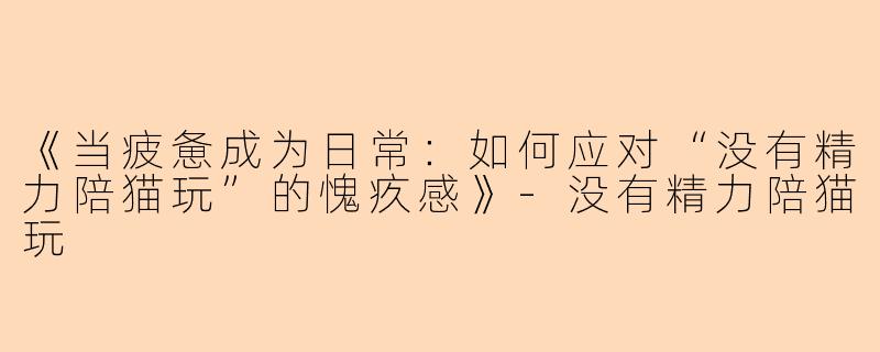 《当疲惫成为日常：如何应对“没有精力陪猫玩”的愧疚感》-没有精力陪猫玩