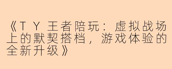 《TY王者陪玩：虚拟战场上的默契搭档，游戏体验的全新升级》