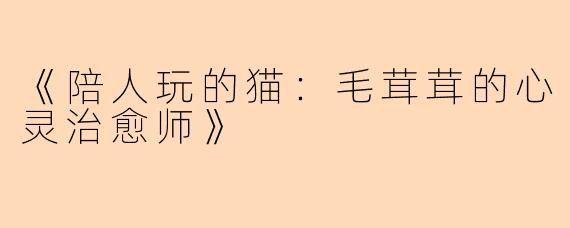 《陪人玩的猫：毛茸茸的心灵治愈师》