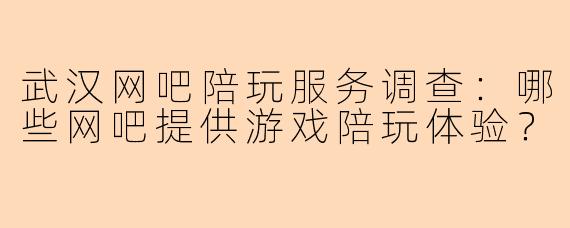 武汉网吧陪玩服务调查：哪些网吧提供游戏陪玩体验？