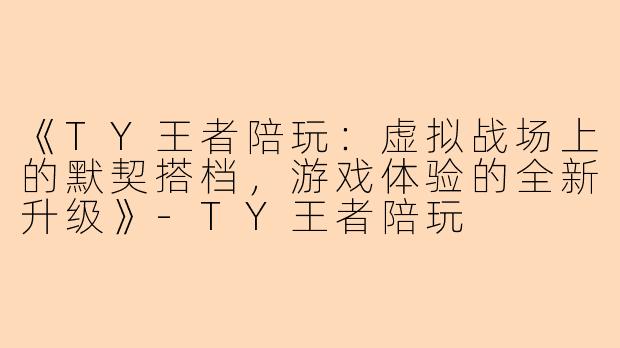 《TY王者陪玩：虚拟战场上的默契搭档，游戏体验的全新升级》-TY王者陪玩