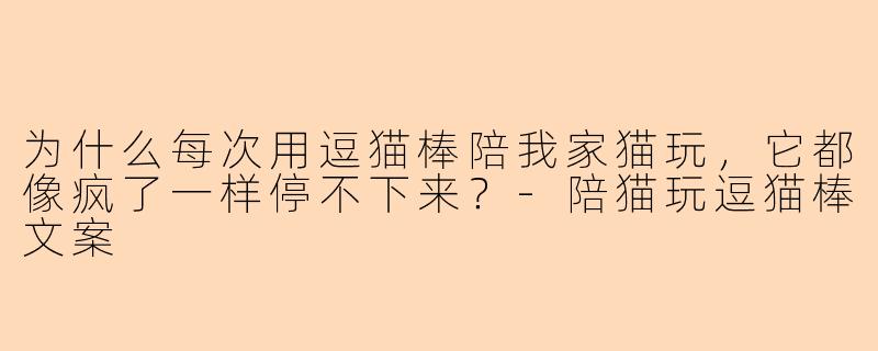为什么每次用逗猫棒陪我家猫玩,它都像疯了一样停不下来?