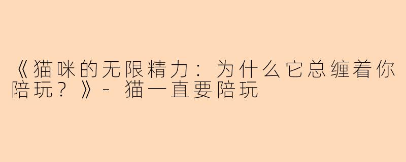 《猫咪的无限精力：为什么它总缠着你陪玩？》-猫一直要陪玩