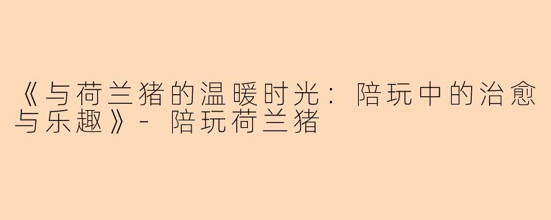 《与荷兰猪的温暖时光：陪玩中的治愈与乐趣》-陪玩荷兰猪