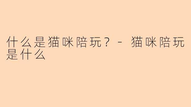 什么是猫咪陪玩？-猫咪陪玩是什么