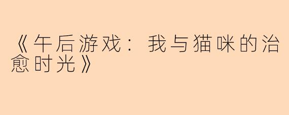 《午后游戏：我与猫咪的治愈时光》