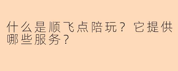 什么是顺飞点陪玩？它提供哪些服务？