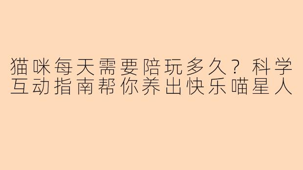 猫咪每天需要陪玩多久？科学互动指南帮你养出快乐喵星人