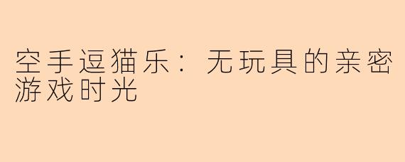 空手逗猫乐：无玩具的亲密游戏时光