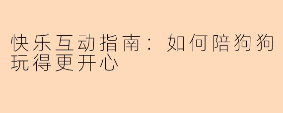 快乐互动指南：如何陪狗狗玩得更开心