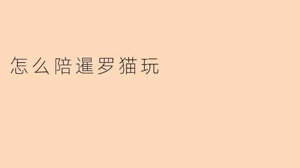 怎么陪暹罗猫玩