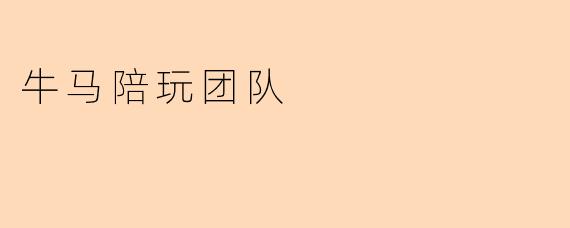 牛马陪玩团队