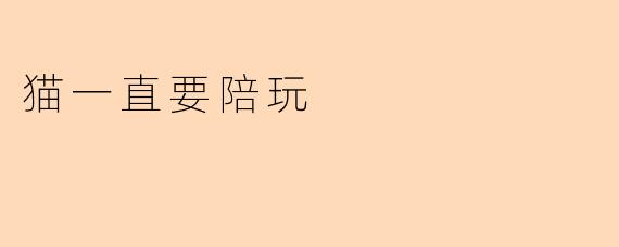 猫一直要陪玩