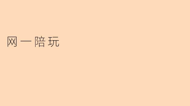 网一陪玩