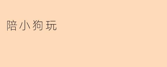 陪小狗玩