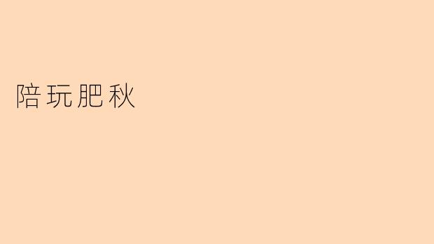 陪玩肥秋
