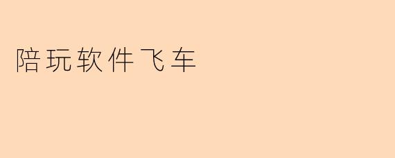 陪玩软件飞车