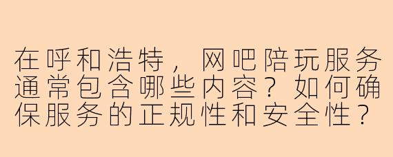 在呼和浩特，网吧陪玩服务通常包含哪些内容？如何确保服务的正规性和安全性？