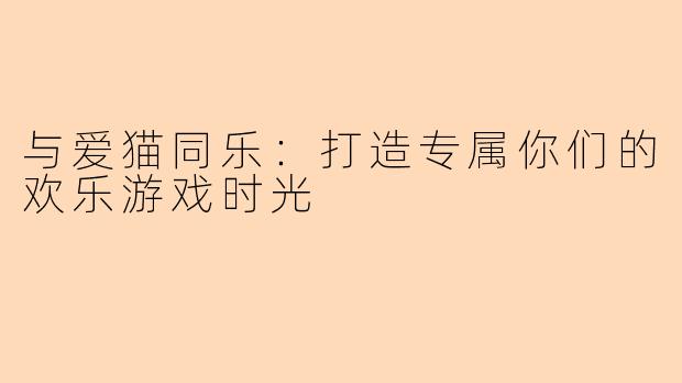 与爱猫同乐：打造专属你们的欢乐游戏时光