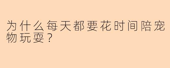 为什么每天都要花时间陪宠物玩耍？