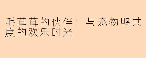 毛茸茸的伙伴：与宠物鸭共度的欢乐时光