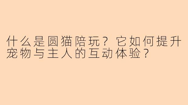 什么是圆猫陪玩？它如何提升宠物与主人的互动体验？