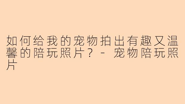 如何给我的宠物拍出有趣又温馨的陪玩照片？-宠物陪玩照片