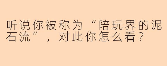 听说你被称为“陪玩界的泥石流”，对此你怎么看？