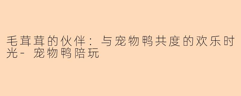 毛茸茸的伙伴：与宠物鸭共度的欢乐时光-宠物鸭陪玩