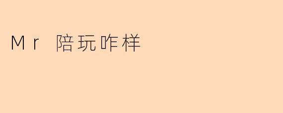 Mr陪玩咋样