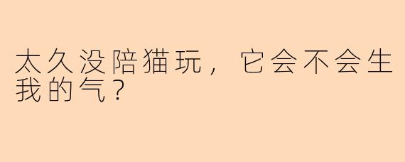 太久没陪猫玩，它会不会生我的气？