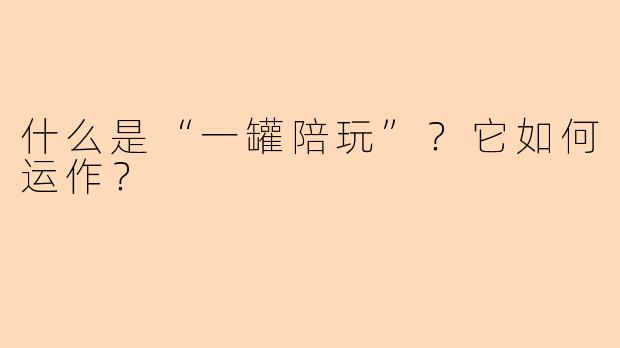 什么是“一罐陪玩”?它如何运作?