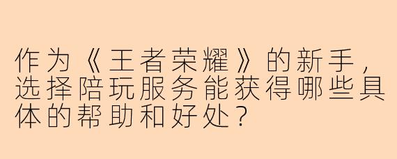 作为《王者荣耀》的新手，选择陪玩服务能获得哪些具体的帮助和好处？