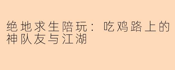 绝地求生陪玩：吃鸡路上的神队友与江湖