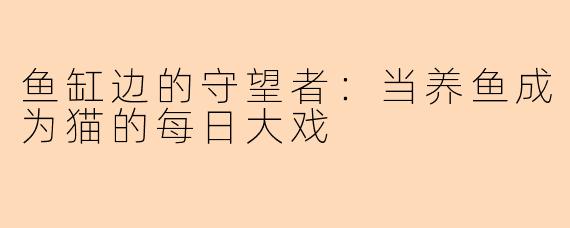 鱼缸边的守望者：当养鱼成为猫的每日大戏