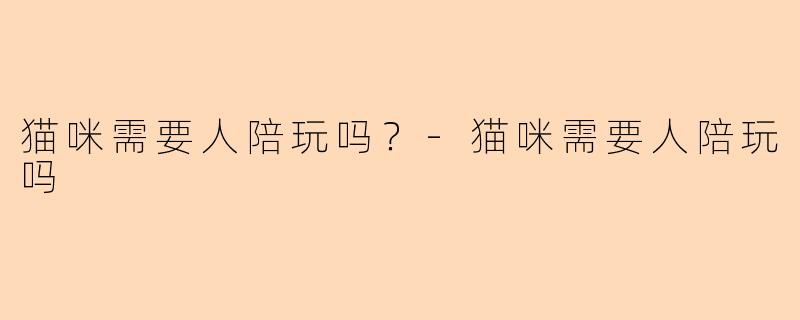 猫咪需要人陪玩吗？-猫咪需要人陪玩吗