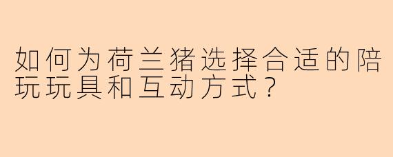如何为荷兰猪选择合适的陪玩玩具和互动方式？