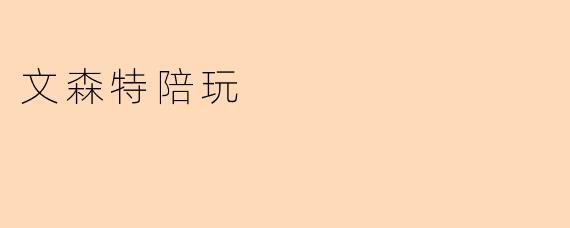 文森特陪玩