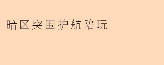 暗区突围护航陪玩