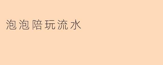 泡泡陪玩流水