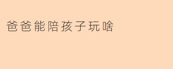 爸爸能陪孩子玩啥