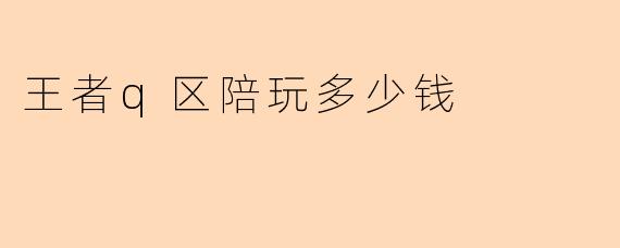 王者q区陪玩多少钱