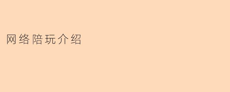网络陪玩介绍