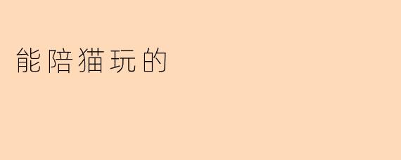 能陪猫玩的