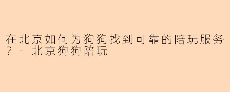 在北京如何为狗狗找到可靠的陪玩服务？-北京狗狗陪玩