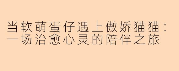 当软萌蛋仔遇上傲娇猫猫：一场治愈心灵的陪伴之旅