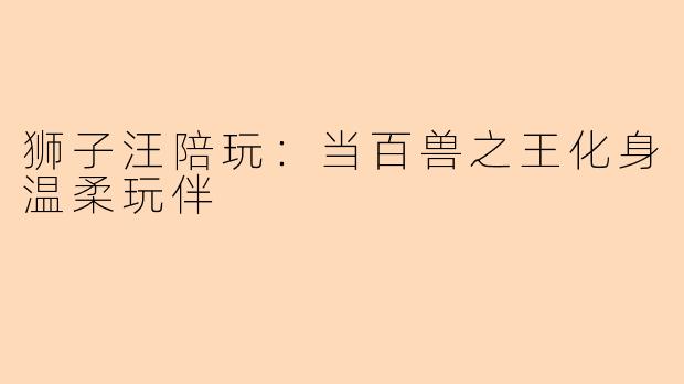 狮子汪陪玩：当百兽之王化身温柔玩伴