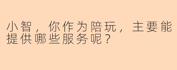 小智，你作为陪玩，主要能提供哪些服务呢？
